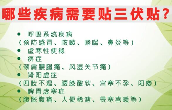 2、什么是三伏貼？三伏貼的作用？