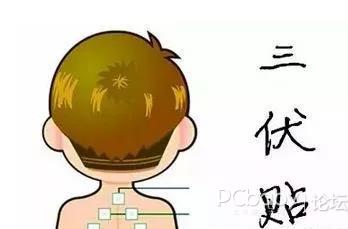 1、三伏貼有用嗎？效果好嗎？